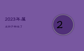 2023年属龙终于转运了，1988年2022年属龙人全年运势如何