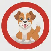 属狗的三合和六个合生肖是什么，属狗的三合三害