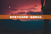 射手座今日运势第一星座陶白白，射手座今日运势查询算命先生