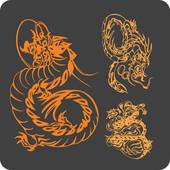 属龙的人2024年的运势如何呢（龙年运势全面解析）