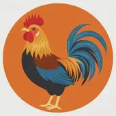 1981年属鸡和什么属相最配：81年属鸡的属相婚配表