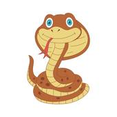 属蛇的人今日财运方位查(揭秘财运宝藏所在)