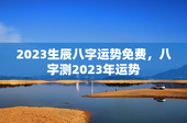 2023生辰八字运势免费，八字测2023年运势