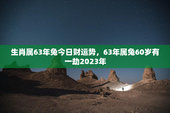 生肖属63年兔今日财运势，63年属兔60岁有一劫2023年