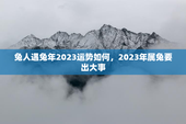 兔人遇兔年2023运势如何，2023年属兔要出大事