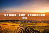 星盘5宫代表什么意思，星盘五宫多的表有财吗