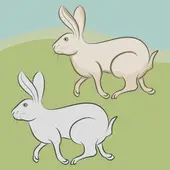 水墨先生生肖每日运势解析：今日吉凶精准指南