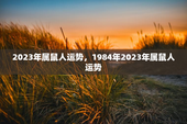 2023年属鼠人运势，1984年2023年属鼠人运势