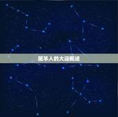 79年属羊哪年转大运(介绍属羊人的大运转换时间)