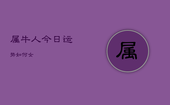 属牛人今日运势如何女