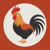 81年属鸡女婚配最佳属相是什么