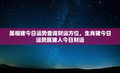 属相猪今日运势查询财运方位，生肖猪今日运势属猪人今日财运