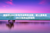 属蛇的2023年每月运势及运程，蛇人遇兔年2023年的运势如何