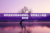 塔罗牌测试他真的爱我吗，塔罗牌占卜他是真的爱
