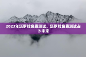 2023年塔罗牌免费测试，塔罗牌免费测试占卜未来