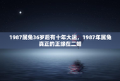 1987属兔36岁后有十年大运，1987年属兔真正的正缘在二婚