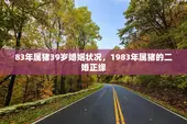 83年属猪39岁婚姻状况，1983年属猪的二婚正缘
