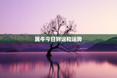 属牛今日财运和运势，属牛今日的财运