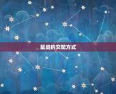 鼠和什么配姻缘呢(寻找鼠配偶)