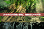 测未来对象是什么样的，免费测试未来对象
