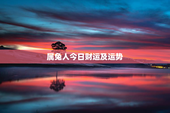 属兔人今日财运及运势，属兔人今日财运及运势查询