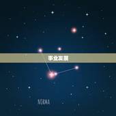 属蛇人生于六月的命运(六月蛇聪明机智事业顺遂但需注意健康问题)