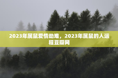 2023年属鼠爱情劫难，2023年属鼠的人运程豆瓣网