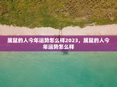属鼠的人今年运势怎么样2023，属鼠的人今年运势怎么样