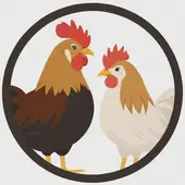 属鸡和什么属相适合做夫妻吗：属鸡找对象属什么最佳