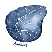 新浪星座2025年运势：新浪星座预言的数字风暴