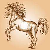 属马的今年几岁对应岁数(马年生肖年龄查询)