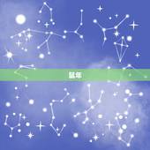 十二生肖分别叫什么年(十二生肖年份表快来查看你的属相吧)