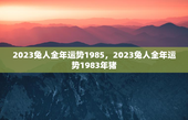 2023兔人全年运势1985，2023兔人全年运势1983年猪