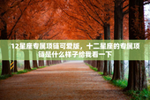 12星座专属项链可爱版，十二星座的专属项链是什么样子给我看一下