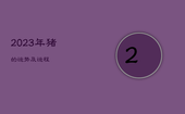 2023年猪的运势及运程，2023年猪的运势及运程麦玲玲