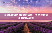 属狗2023年12月30日运势，2020年12月3日属狗人运势