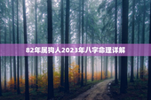 82年属狗人2023年八字命理详解