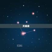 狮子座斗不过哪些星座(介绍哪些星座能让狮子座望尘莫及)