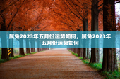 属兔2023年五月份运势如何，属兔2023年五月份运势如何