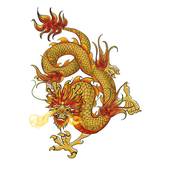 属龙人24年的运势如何（ 属龙人2024年运势展望）