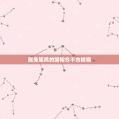 属兔属鸡的属相合不合婚姻(解读属相配对的婚姻学说)