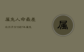 属兔人命最差农历月份，1987年属兔的命运