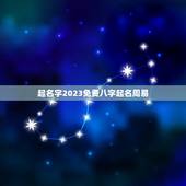 起名字2023免费八字起名周易（命理学角度对起名问题的探讨）