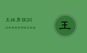 王姓男孩2023年兔宝名字，姓王的兔宝宝男孩名字大全免费