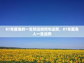 87年属兔的一生财运如何年运势，87年属兔人一生运势