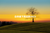 白羊座下周运势2023，2023年白羊座强烈转变的一年