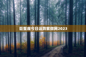 巨蟹座今日运势紫微网2023，巨蟹座今日运势紫薇版