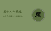 属牛人命最差农历月份，属牛人发横财的年龄