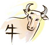 养10头牛一年利润多少(揭秘养牛真的能赚钱吗)