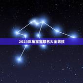 2023年兔宝宝取名大全男孩(的兔宝宝男孩名字推荐)
